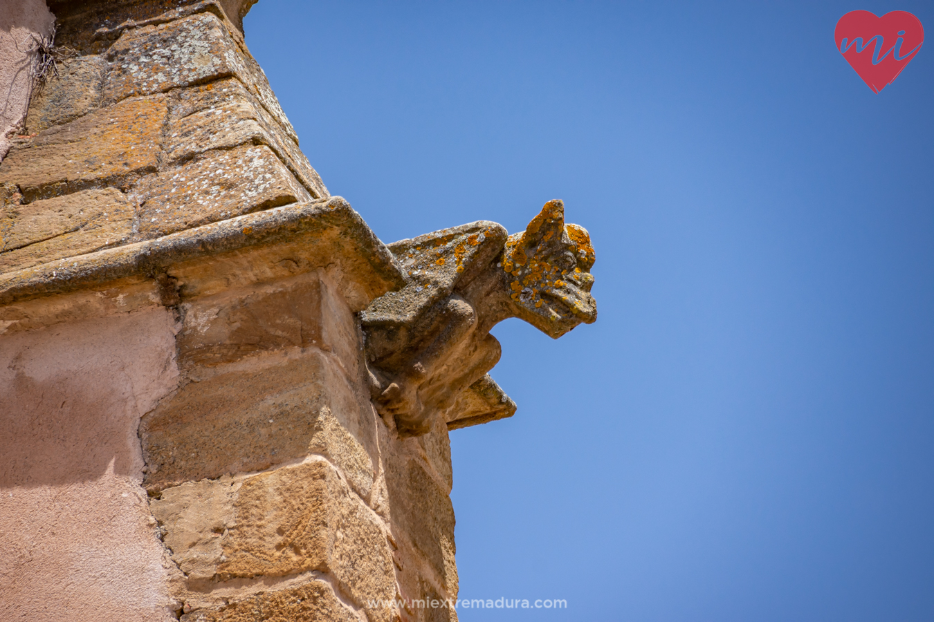 la catedral del sur