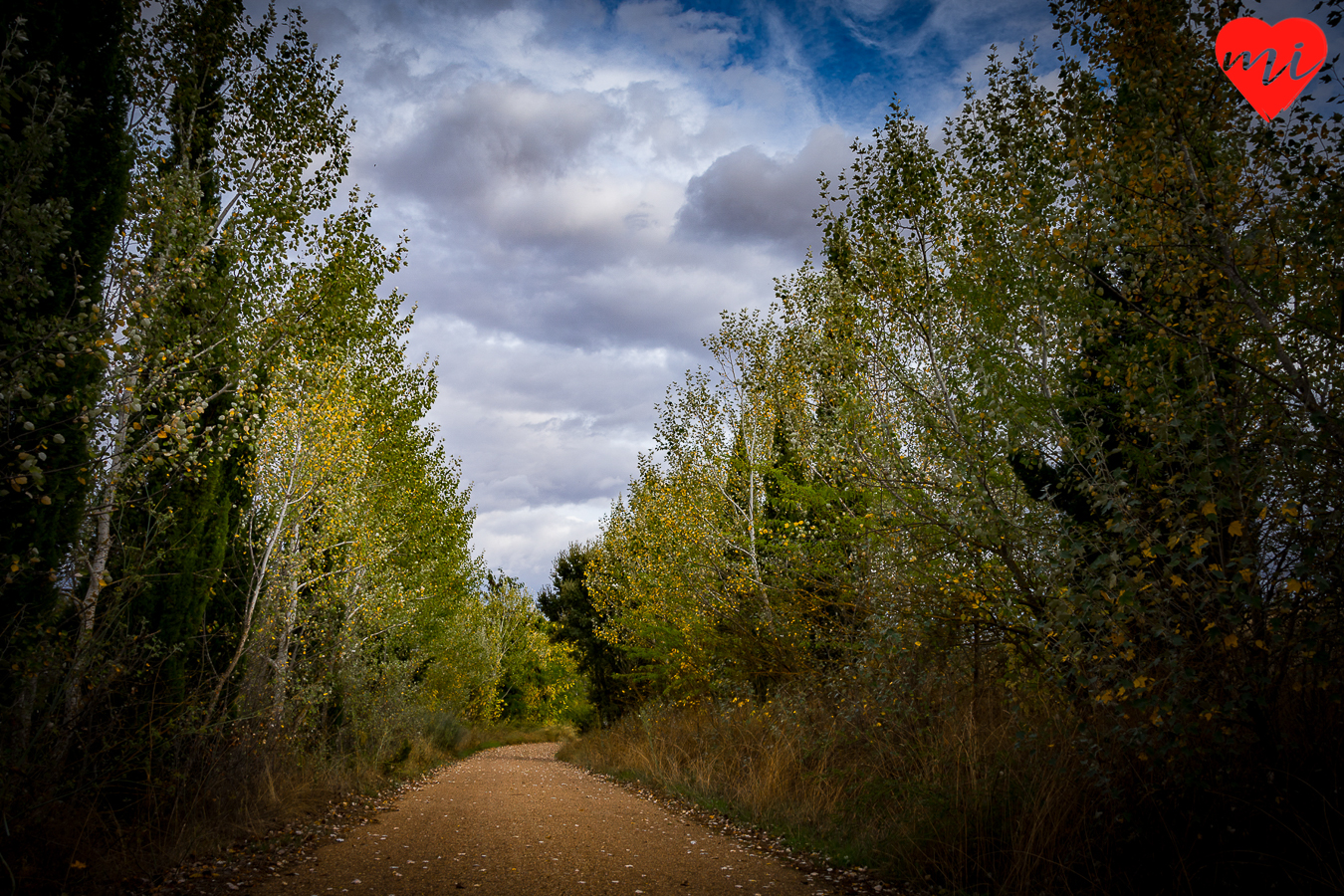 colores-de-otoño