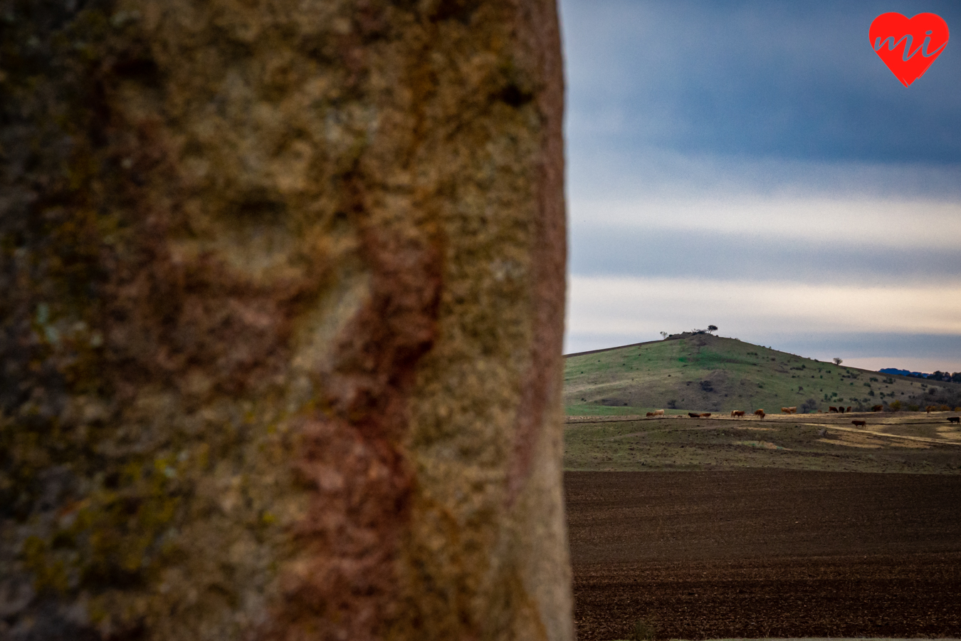 menhir-del-rábano