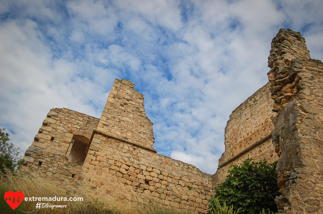 castillo-belvis-monroy