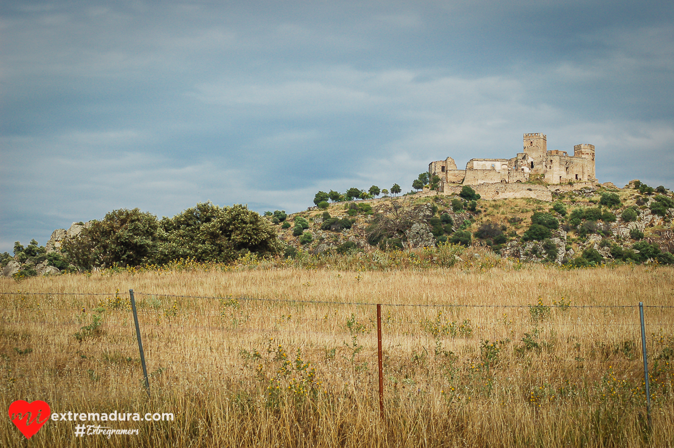 castillo-belvis-monroy