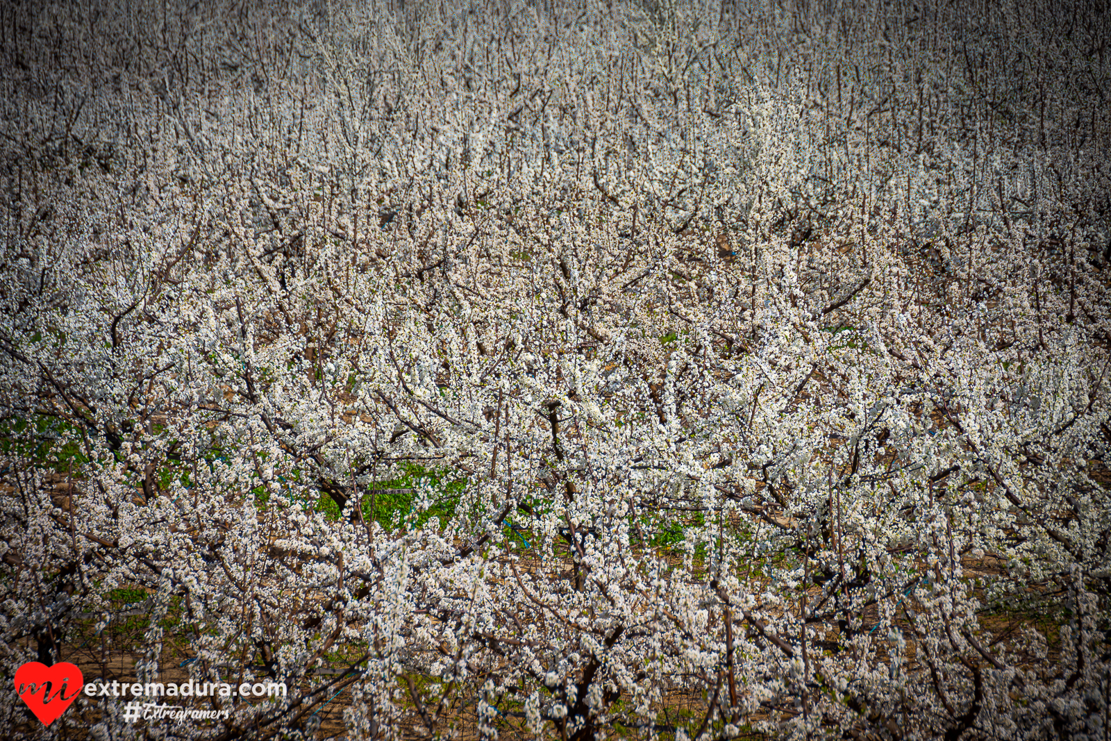 vida y color en Extremadura