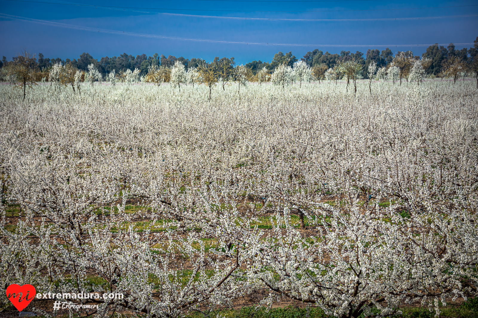 vida y color en Extremadura