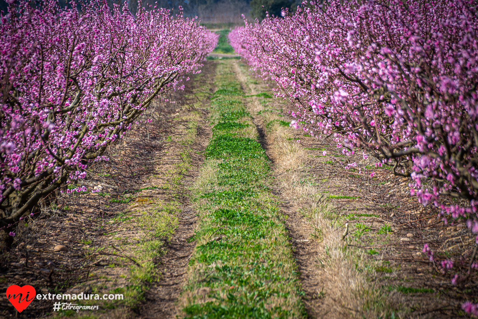 vida y color en Extremadura