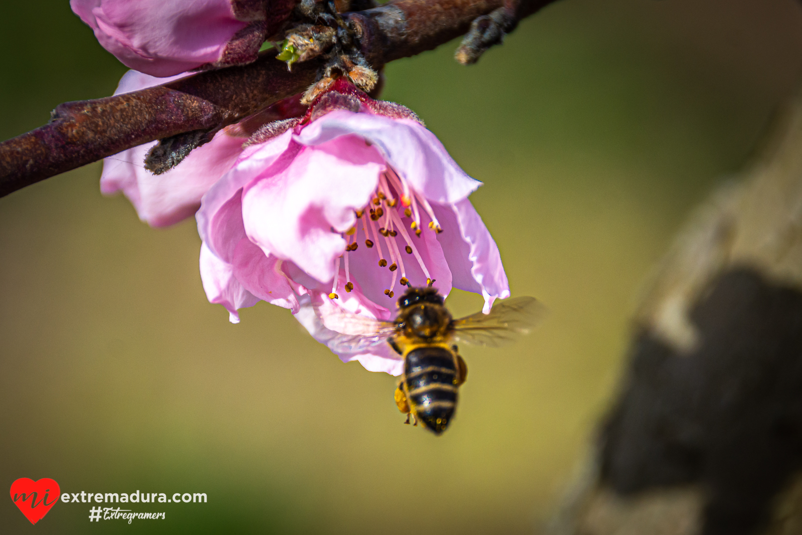 vida y color en Extremadura