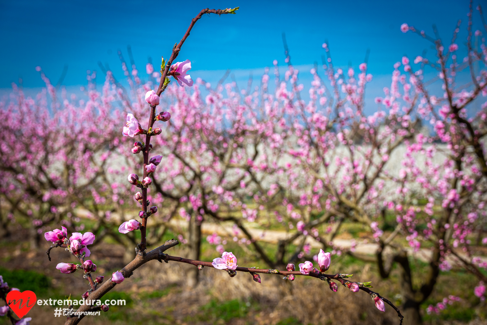 vida y color en Extremadura