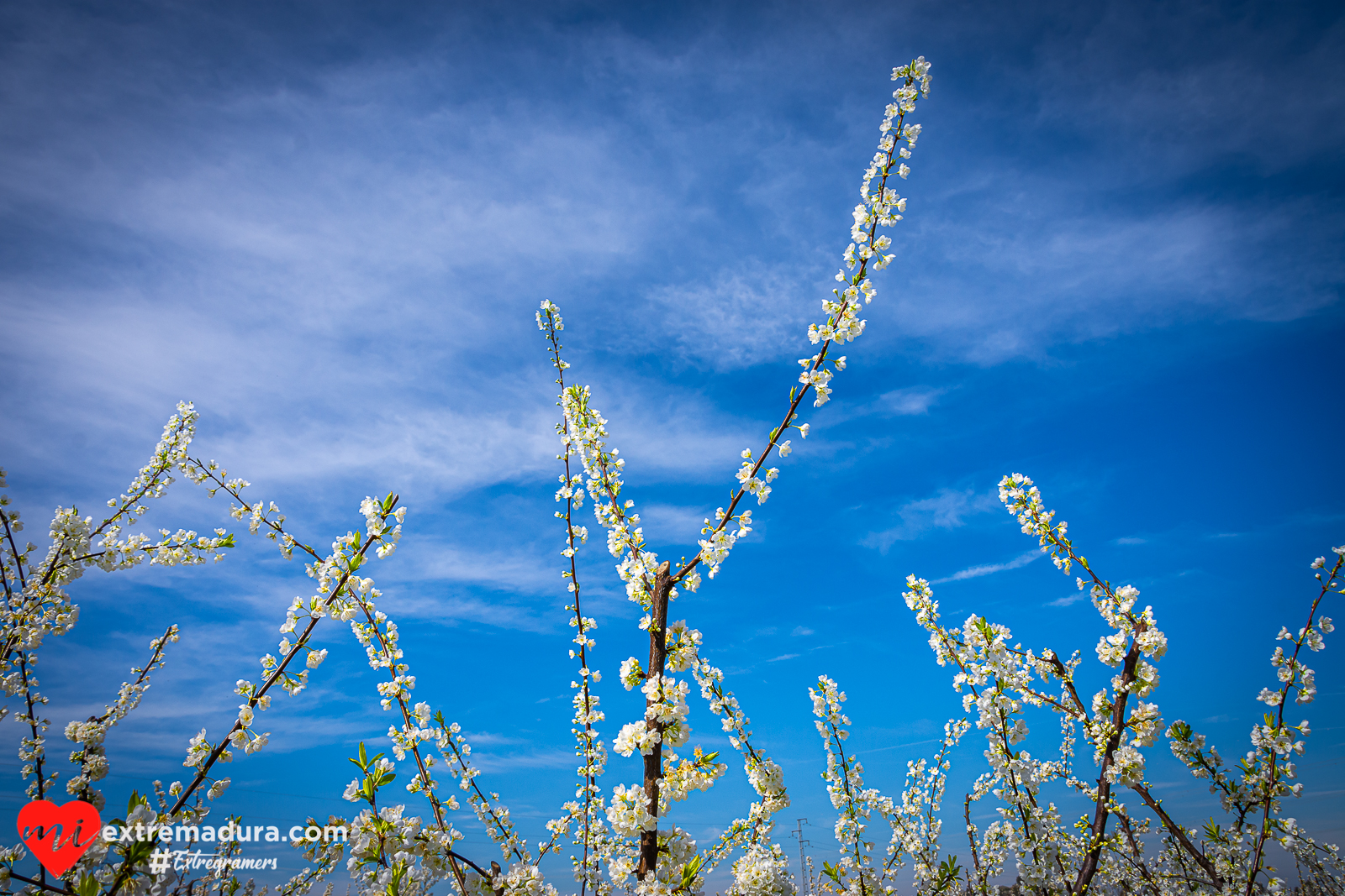 vida y color en Extremadura