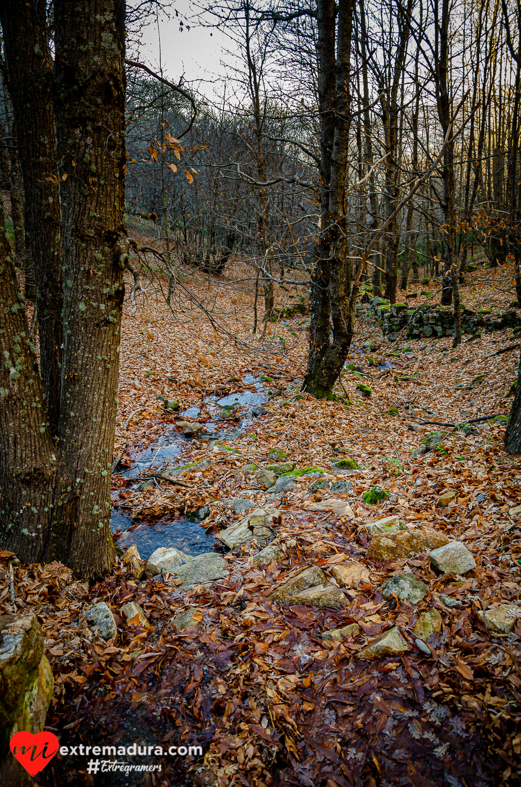 Extremadura, kilómetros por descubrir