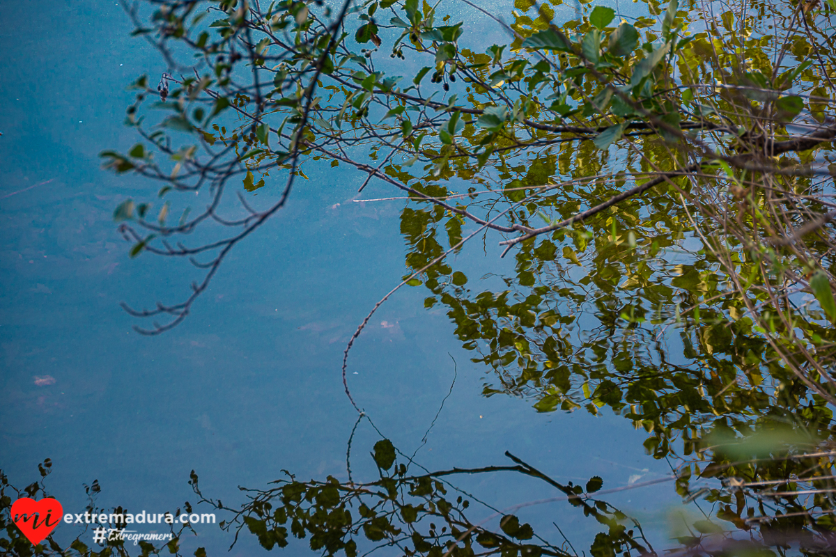 amazonas o tajo