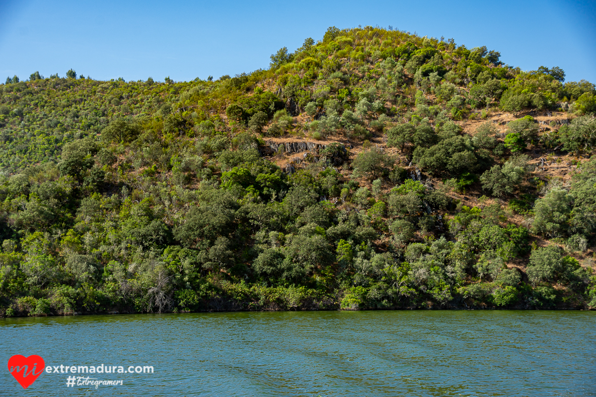 amazonas o tajo