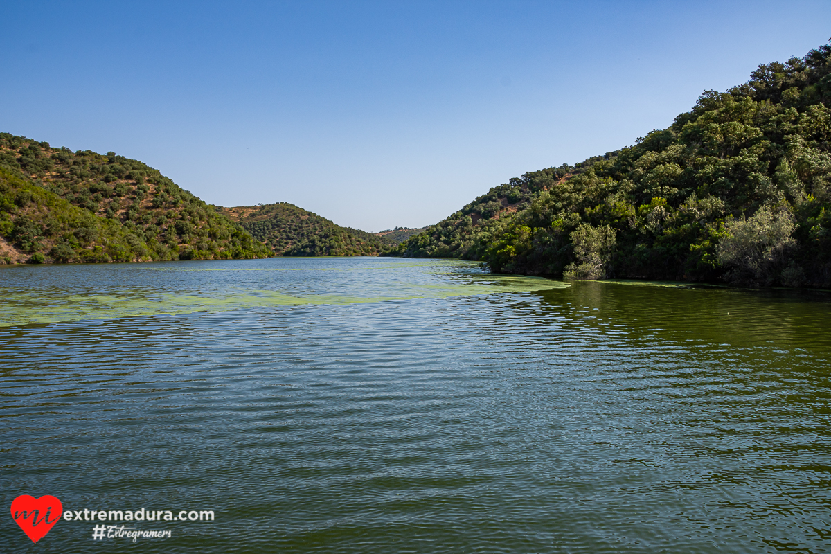 amazonas o tajo