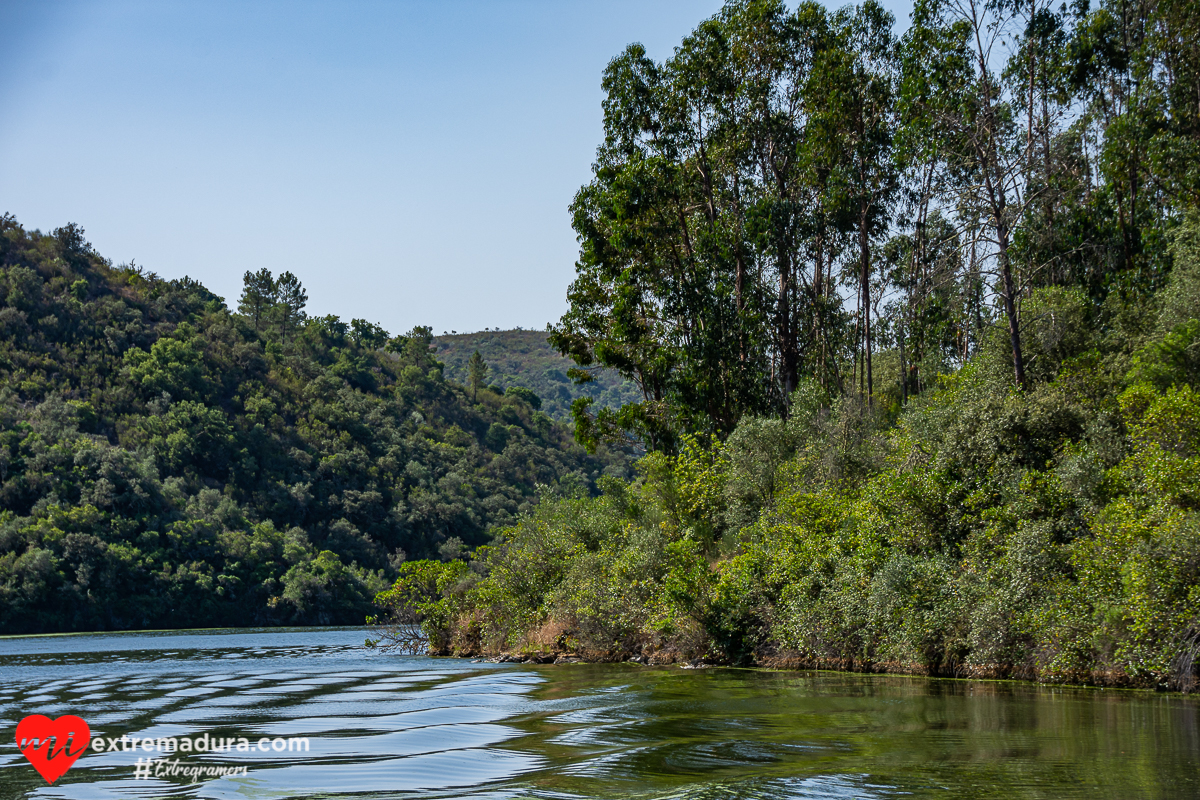 amazonas o tajo