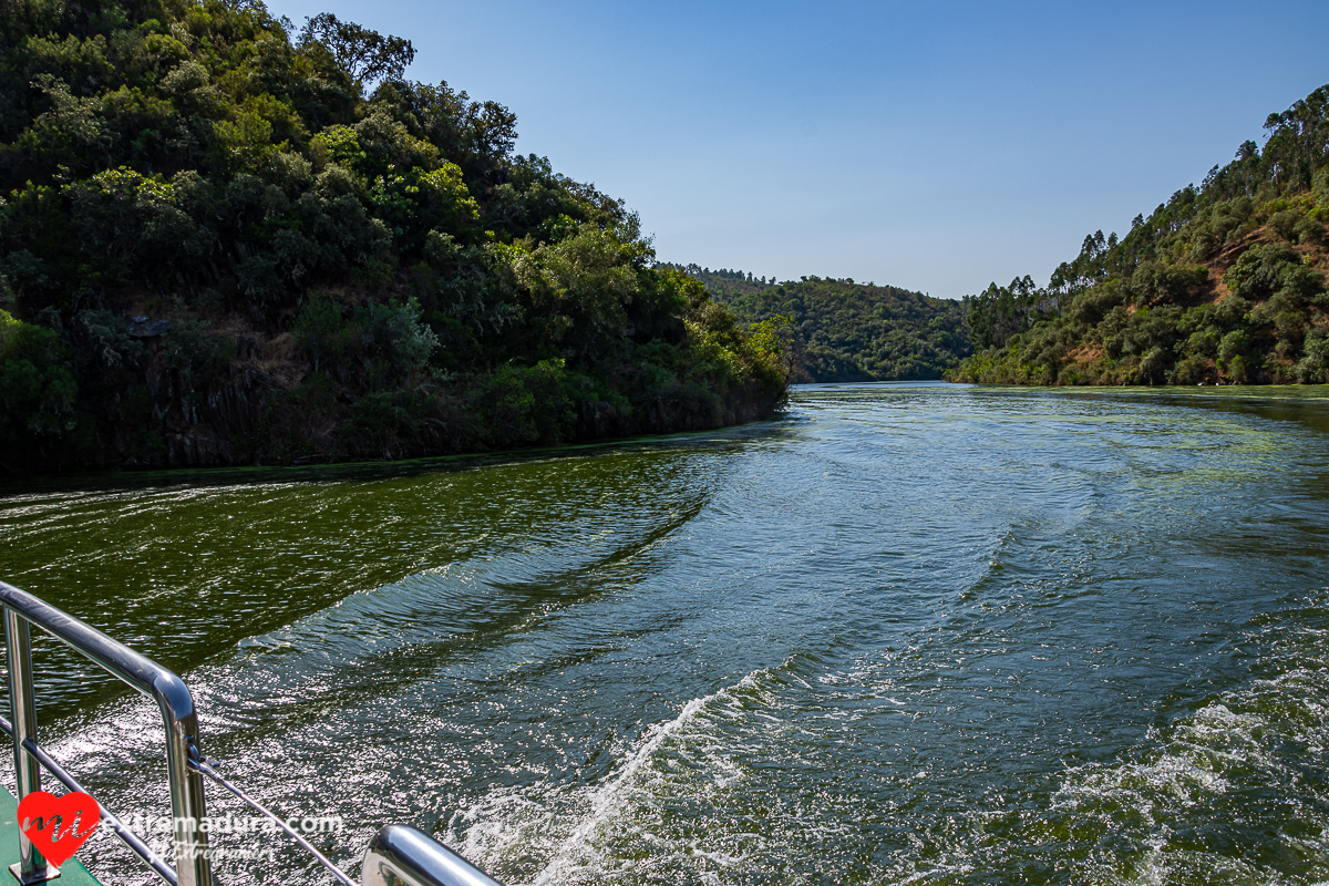 amazonas o tajo