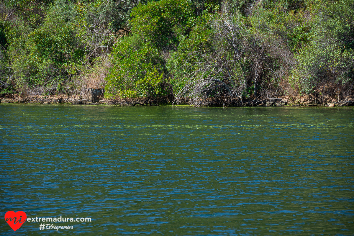 amazonas o tajo