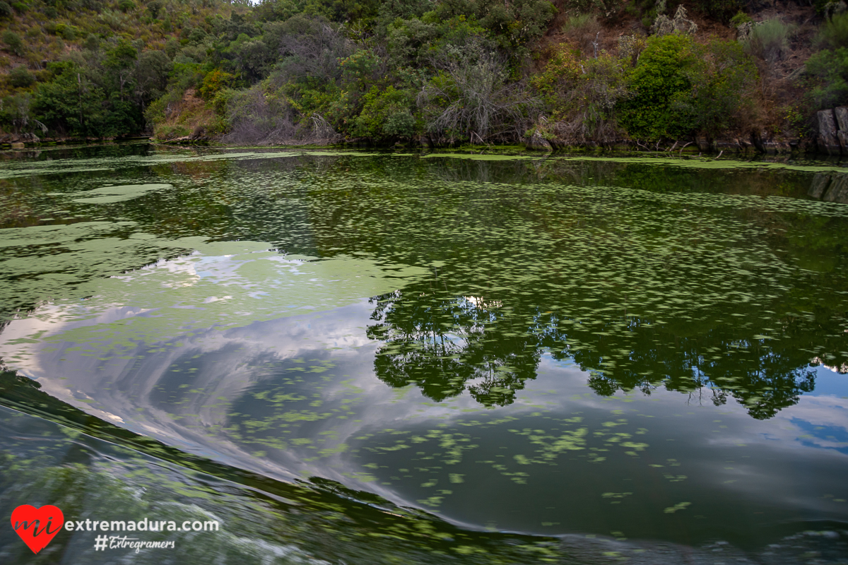 amazonas o tajo