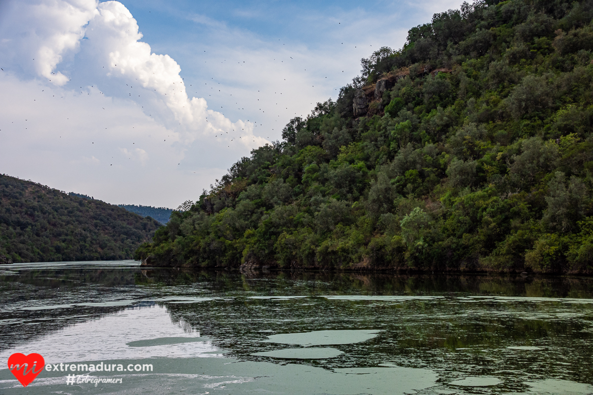 amazonas o tajo