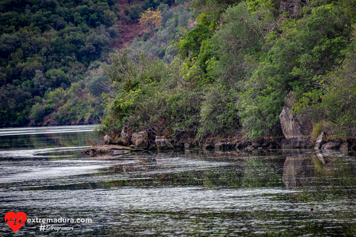 amazonas o tajo