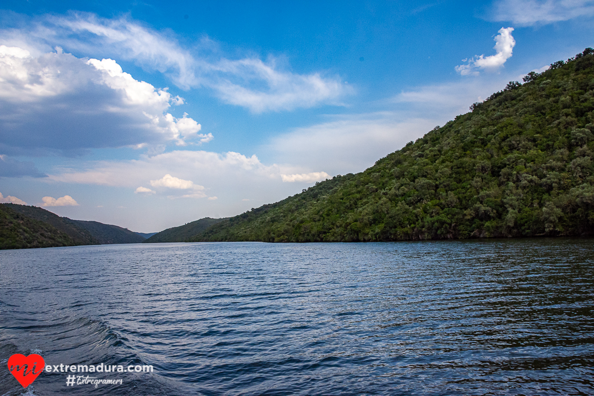 amazonas o tajo