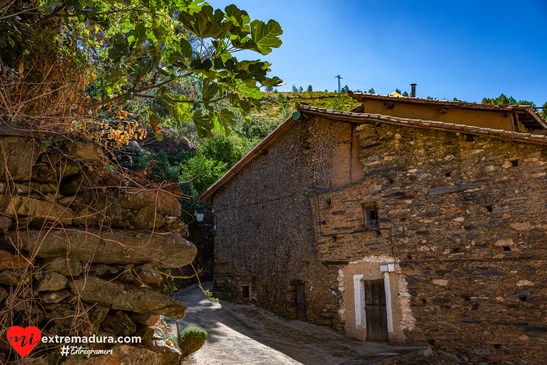 robledillo-de-gata