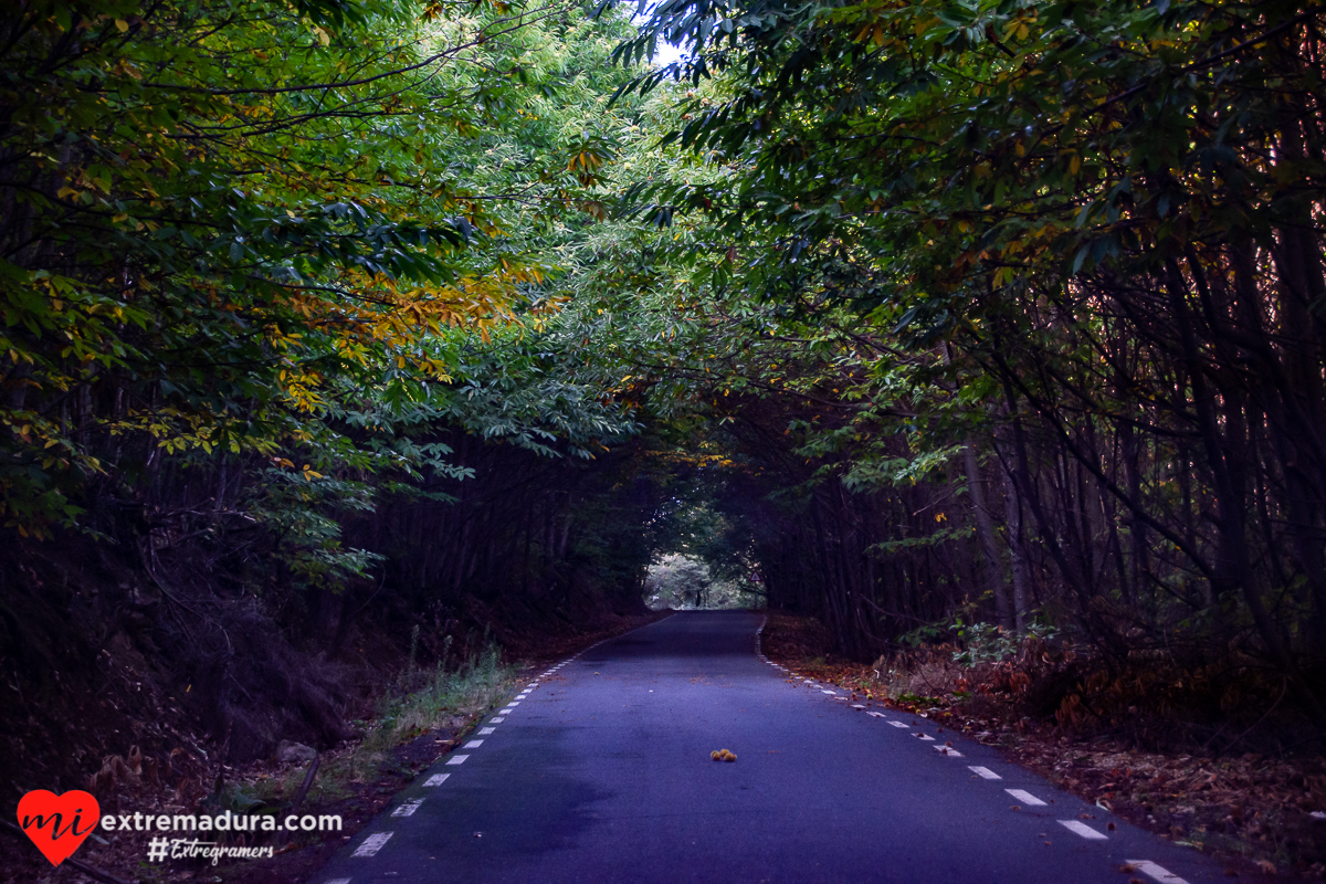 otoño-puerto-honduras