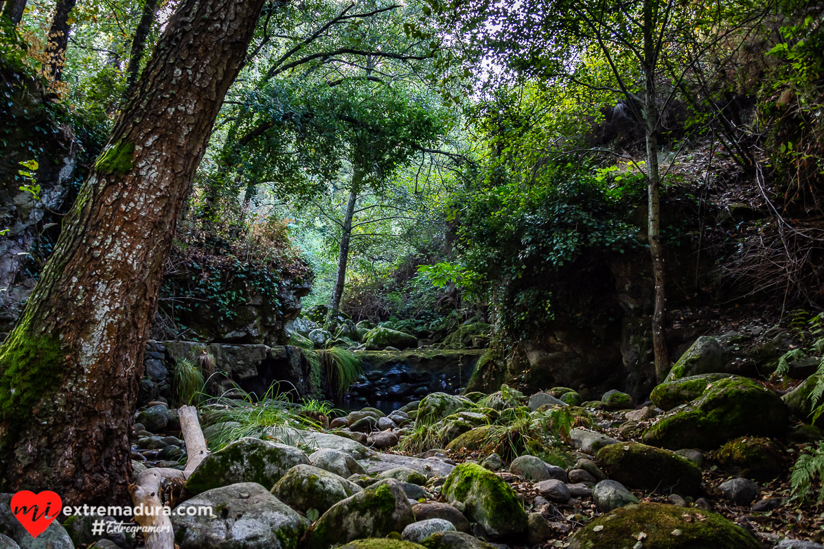 otoño-puerto-honduras