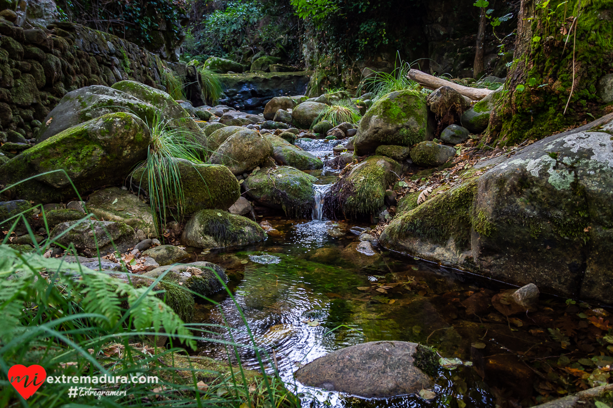 otoño-puerto-honduras