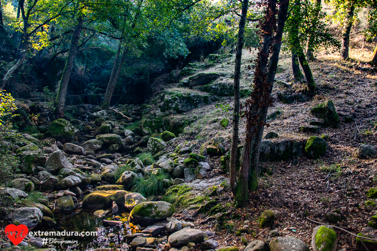 otoño-puerto-honduras