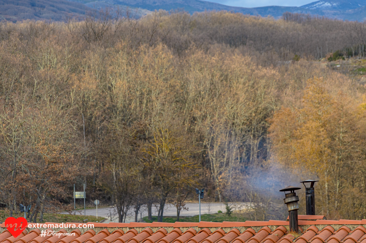 Otoño en Pedro Chate