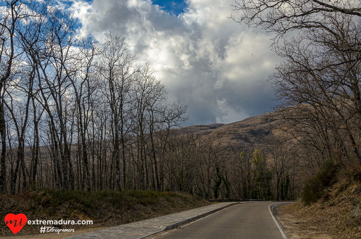 Otoño en Pedro Chate