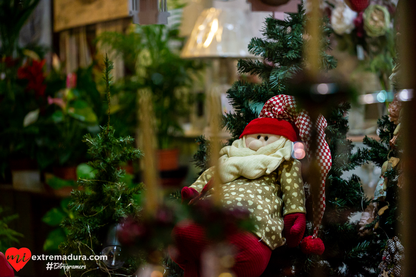 villafranca-barros-ciudad-musica-navidad