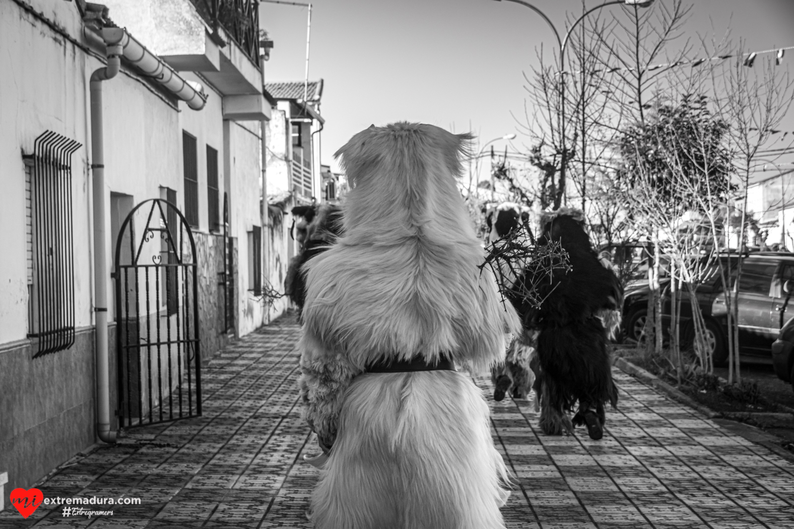 Carantoñas2021