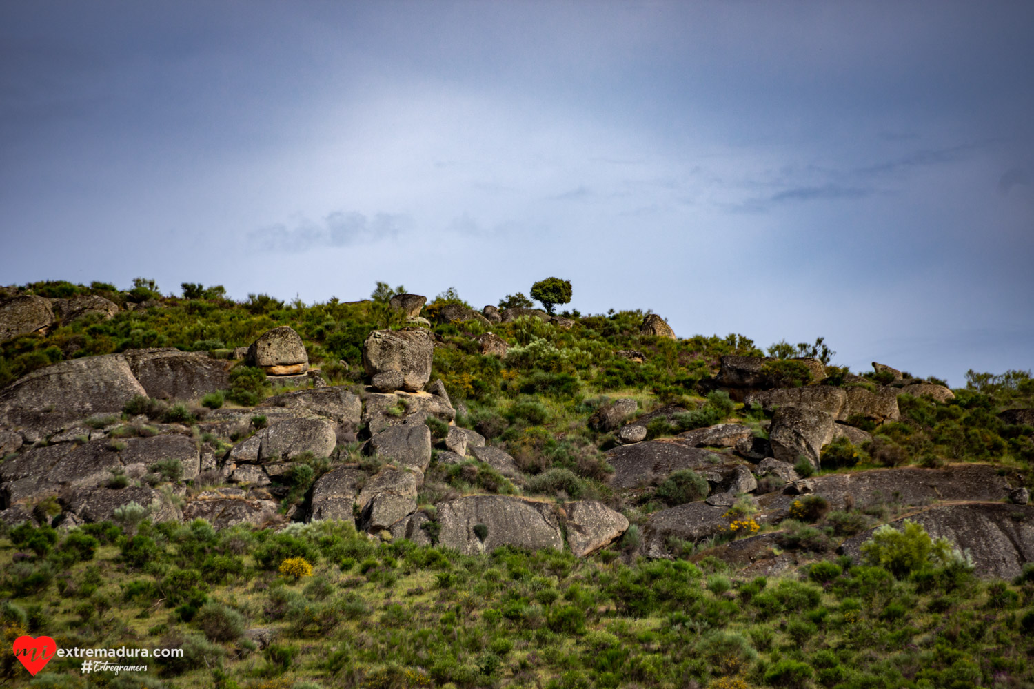 tierra a la vista