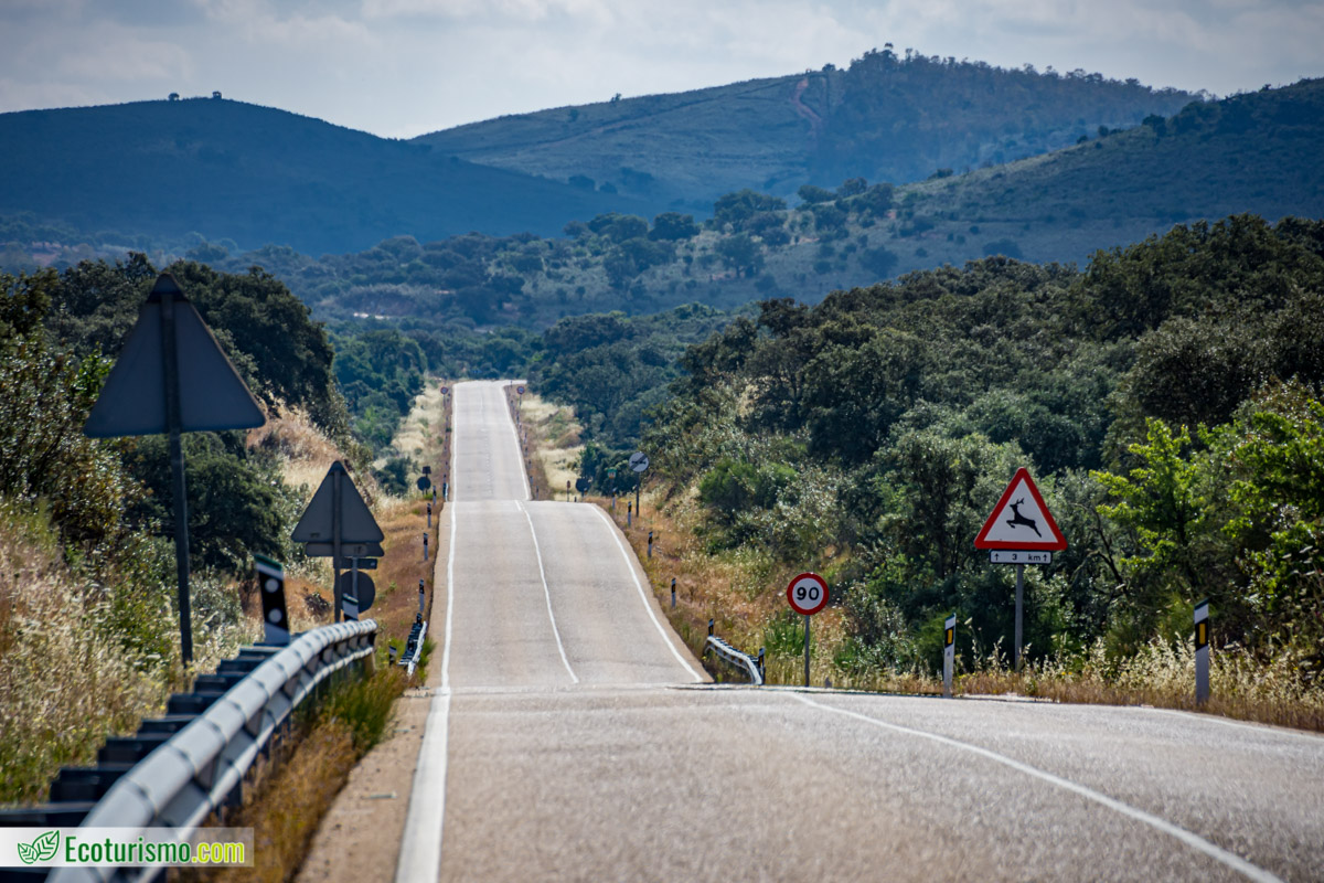 carreteras paisajisticas