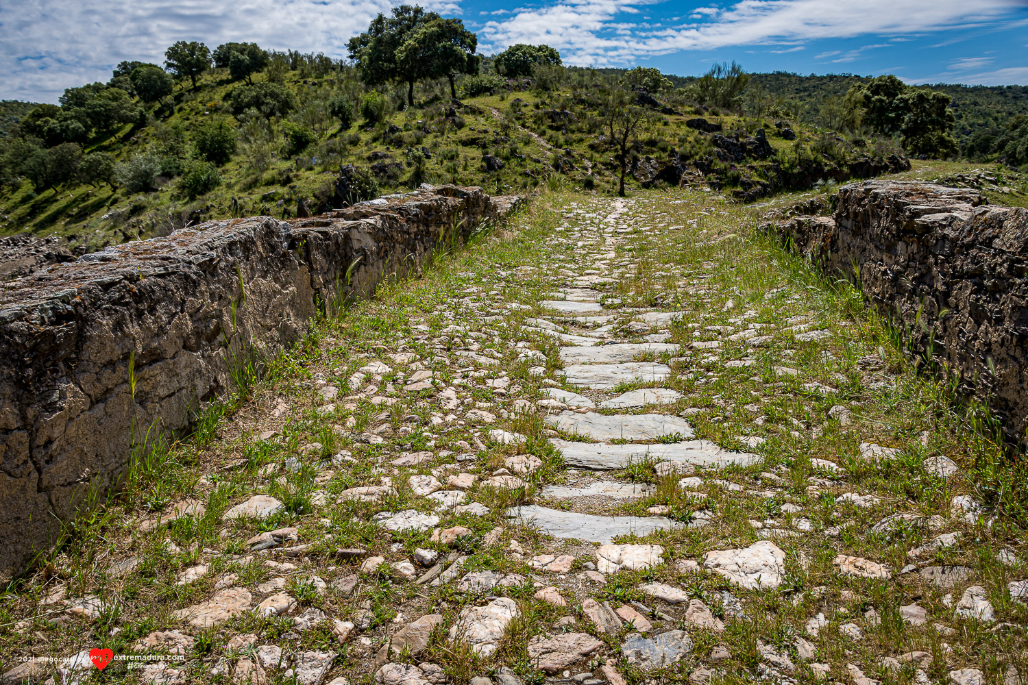 puente viejo fresnedosa