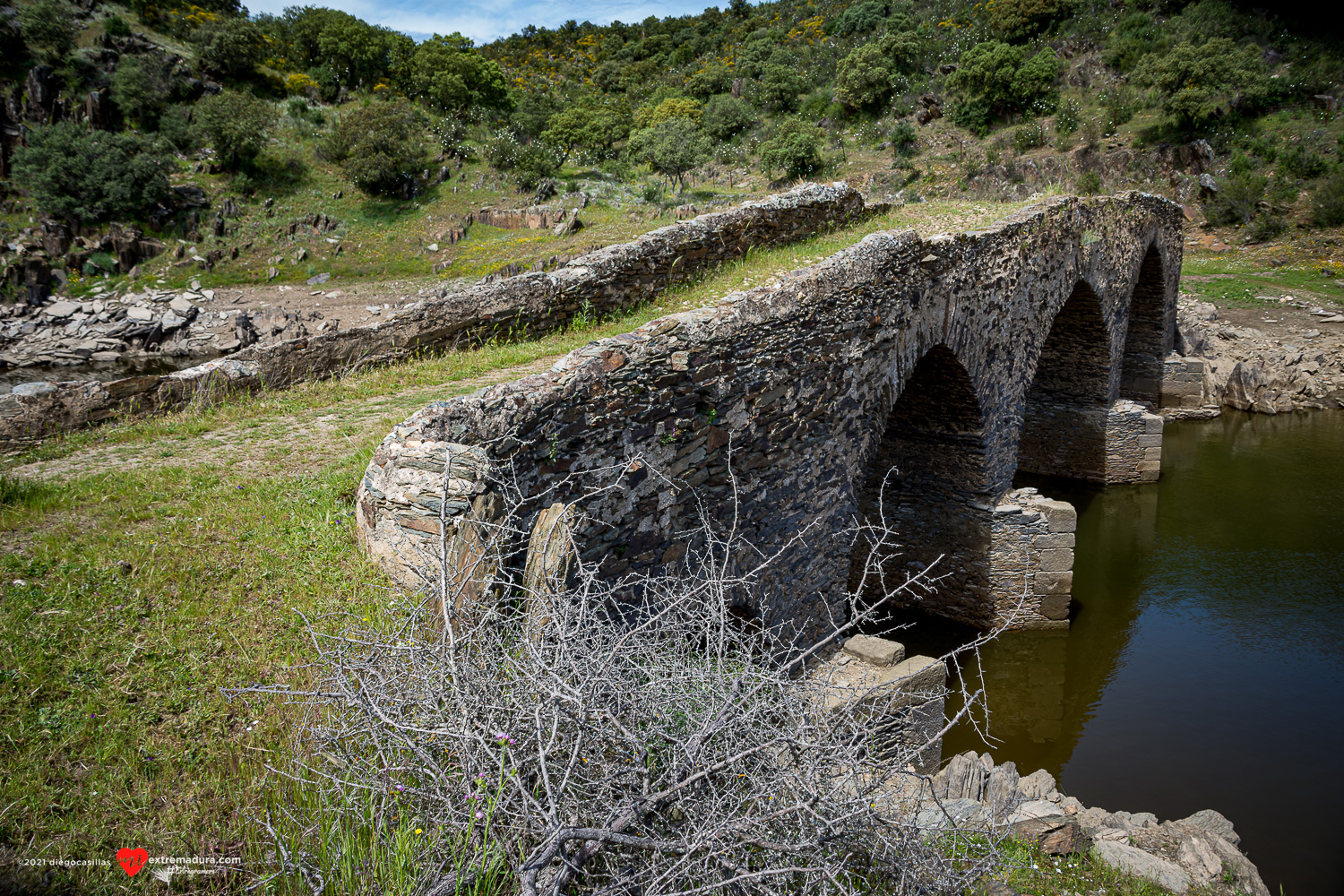 puente viejo fresnedosa