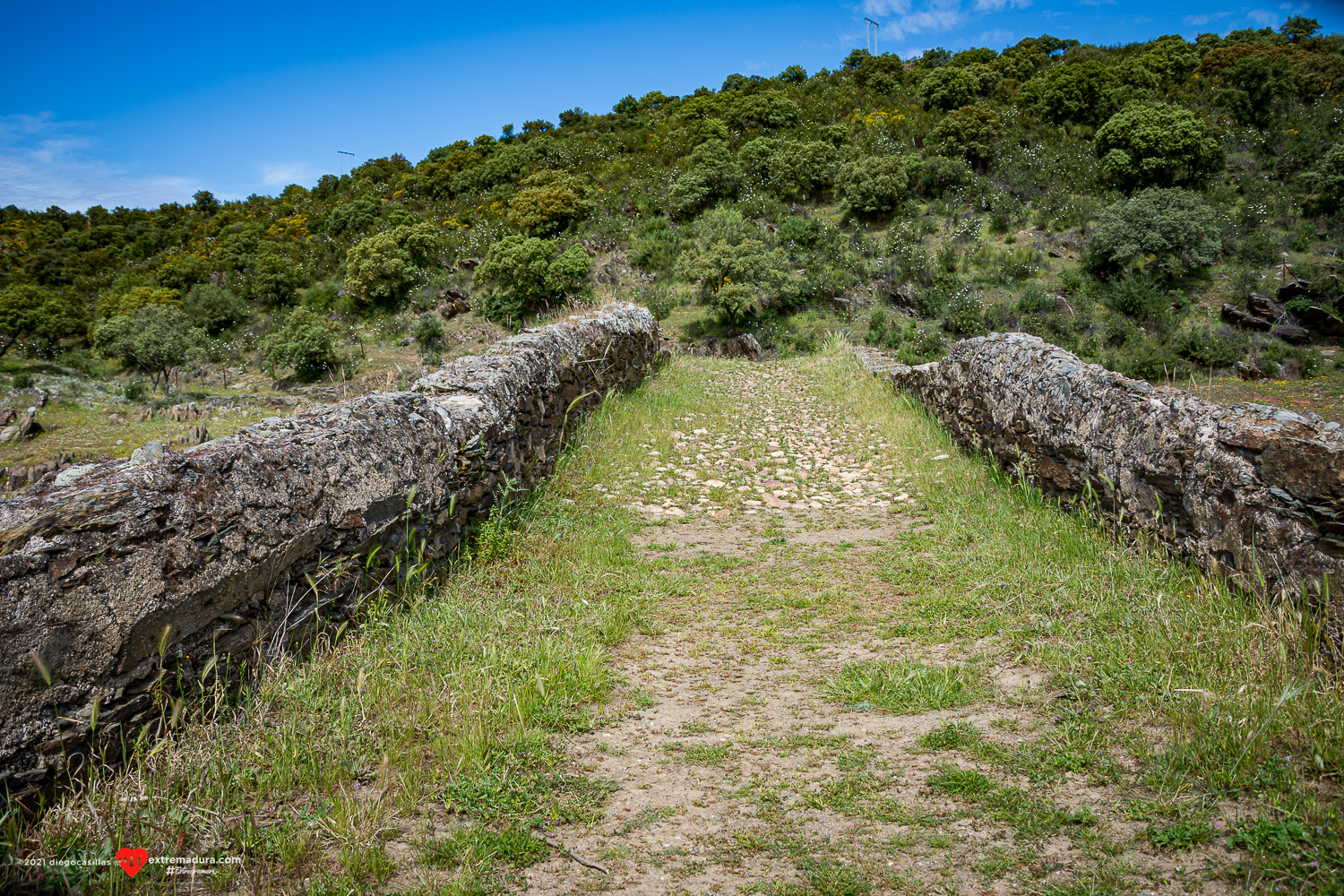 puente viejo fresnedosa