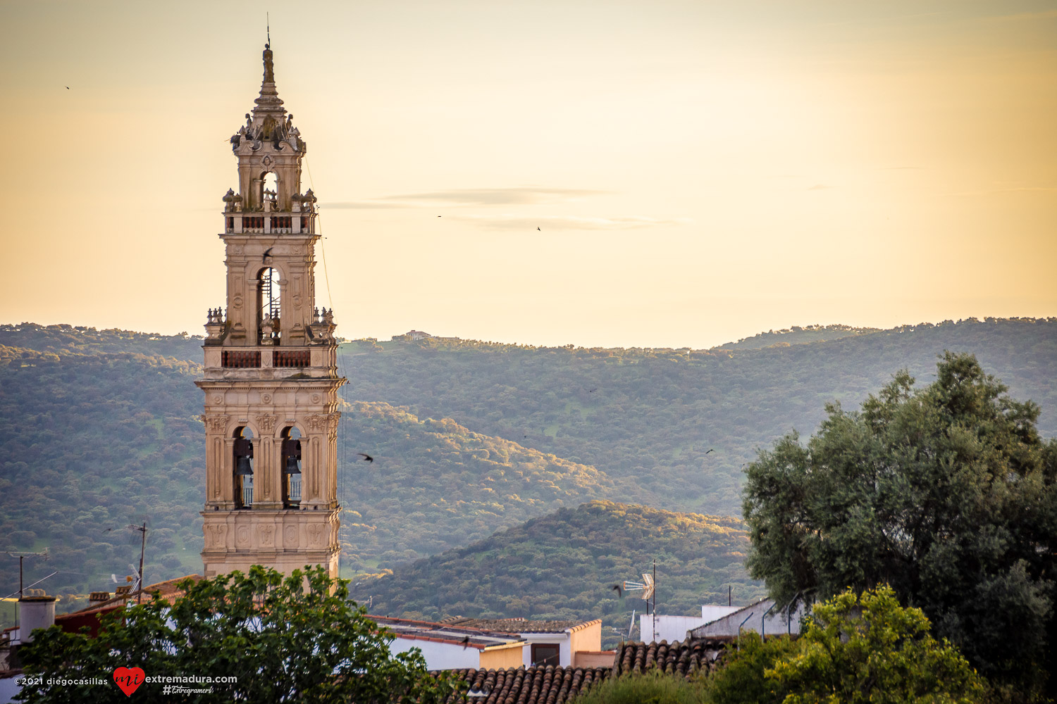 la capital del temple jerez de los caballeros