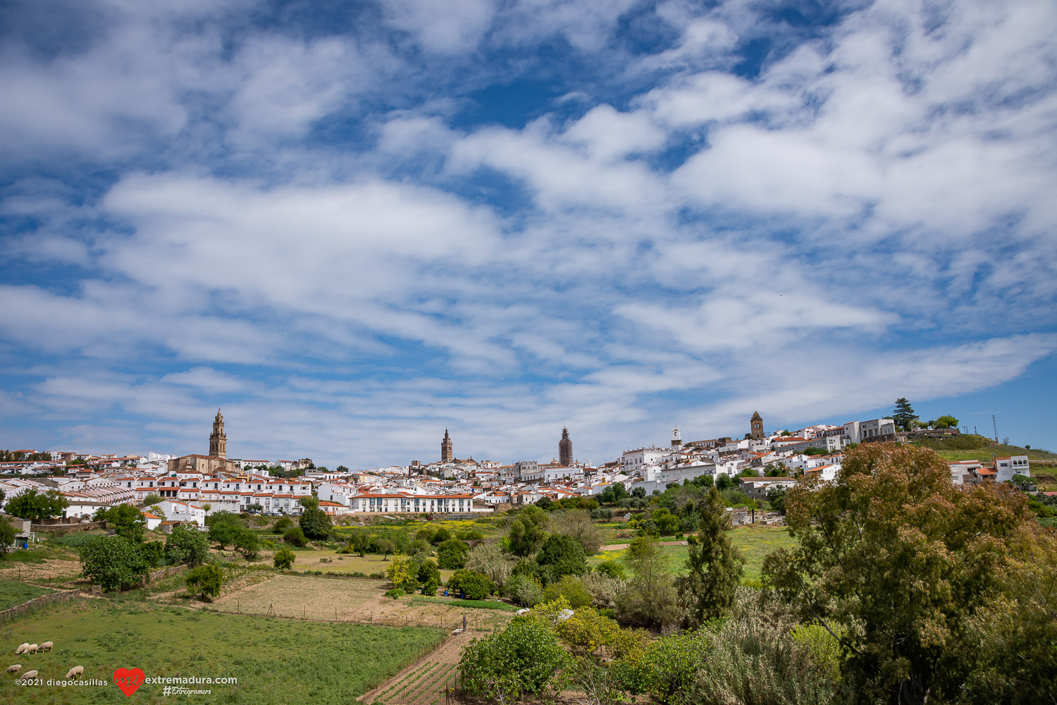 la capital del temple jerez de los caballeros