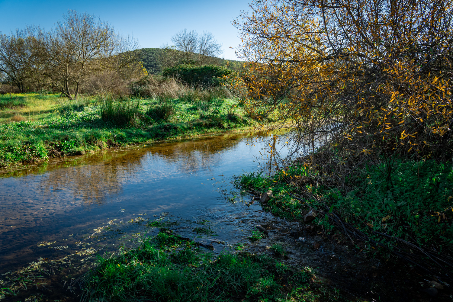 naturaleza-estrellas-comarca-lacara