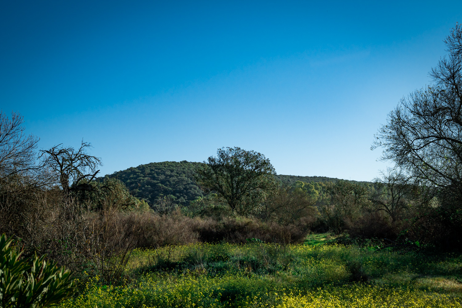 naturaleza-estrellas-comarca-lacara