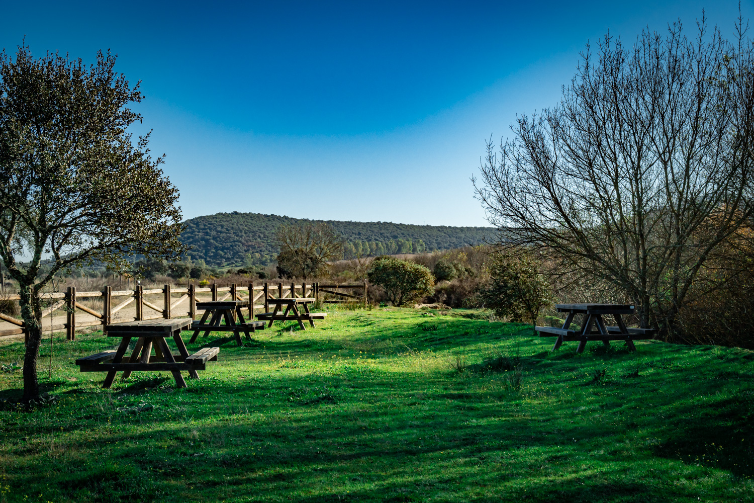 naturaleza-estrellas-comarca-lacara