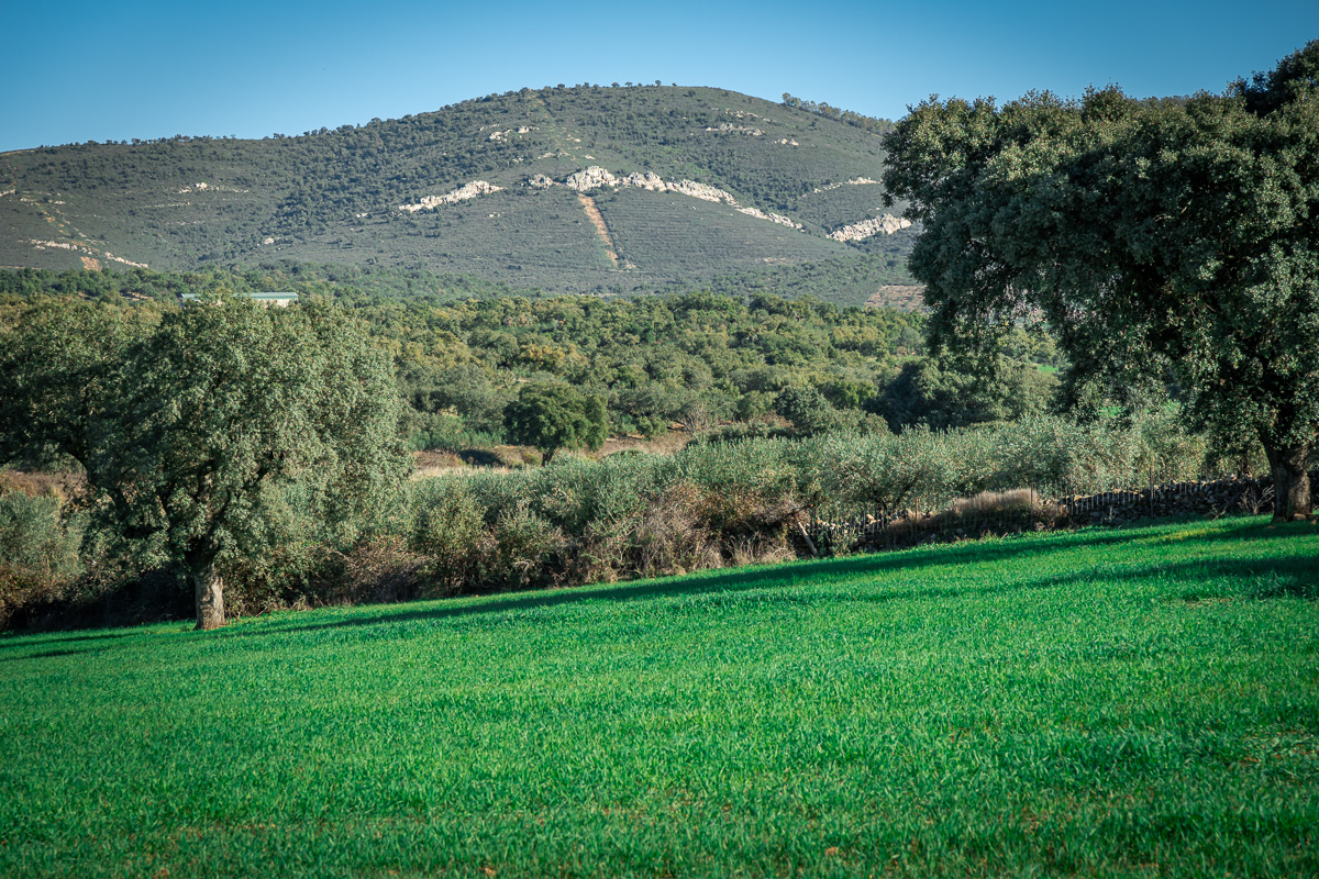 naturaleza-estrellas-comarca-lacara