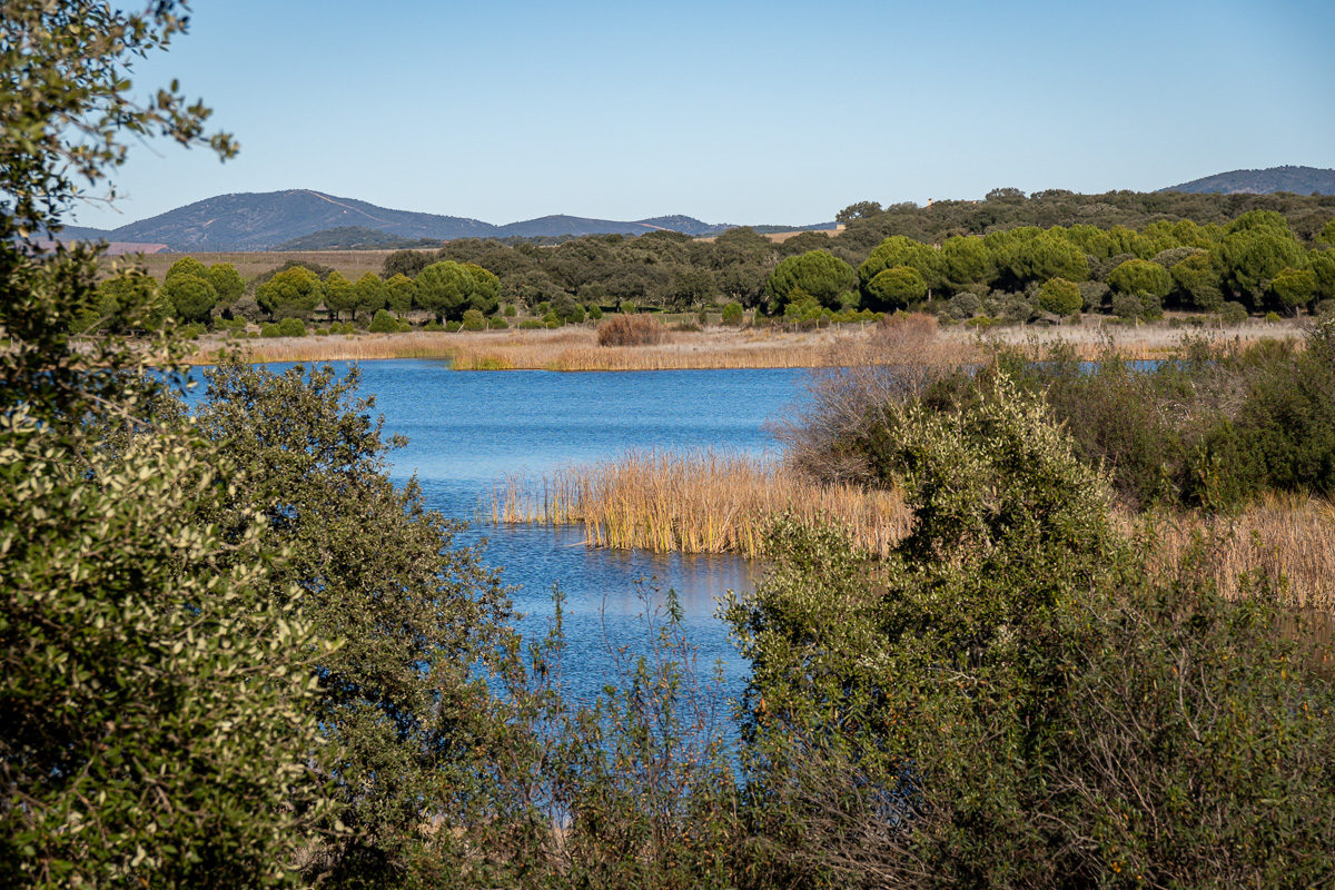 naturaleza-estrellas-comarca-lacara