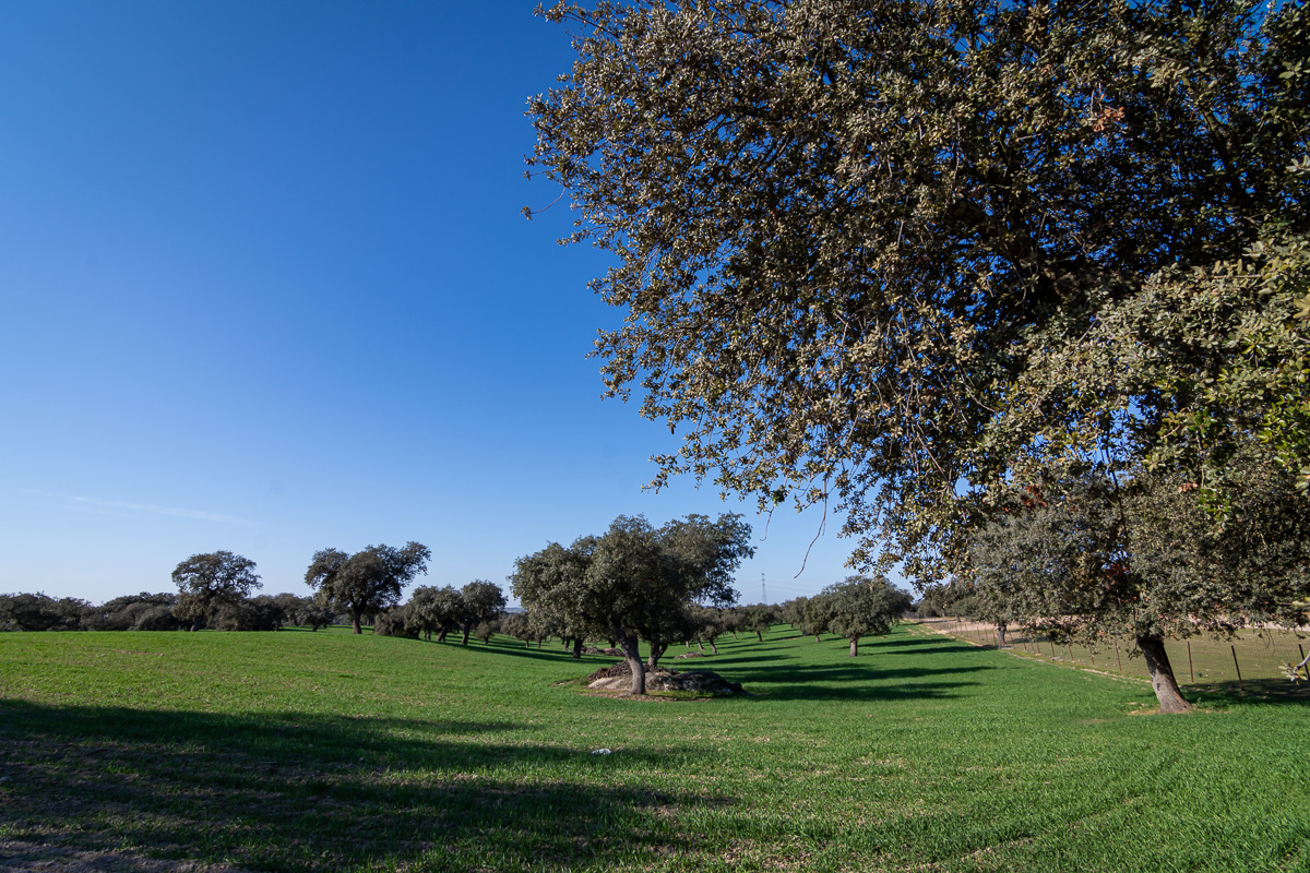 naturaleza-estrellas-comarca-lacara