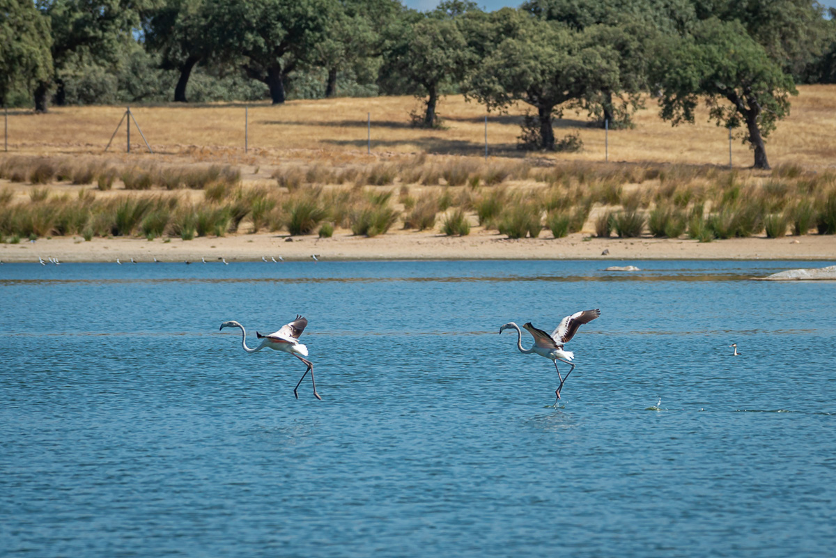 naturaleza-estrellas-comarca-lacara