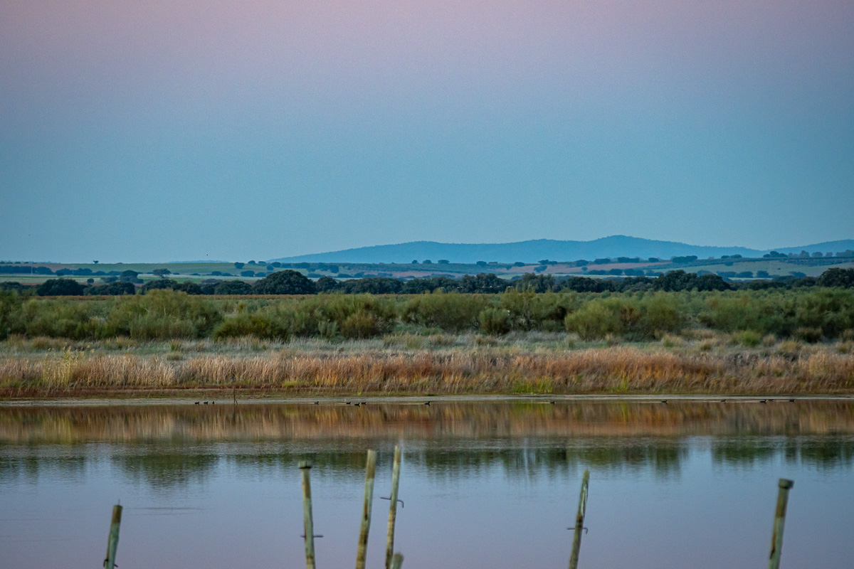 naturaleza-estrellas-comarca-lacara