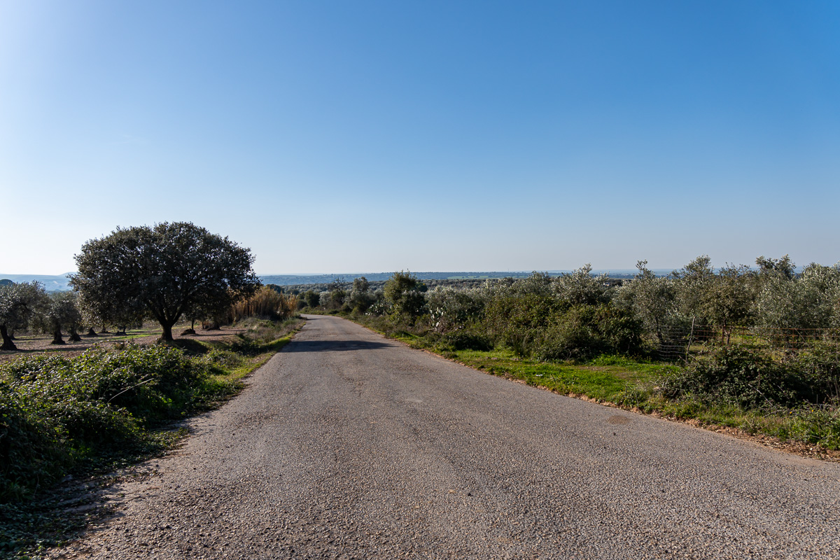 naturaleza-estrellas-comarca-lacara