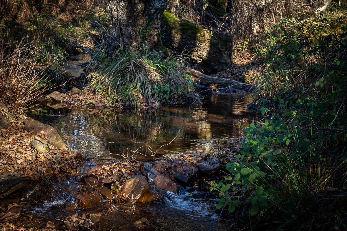 naturaleza-estrellas-comarca-lacara