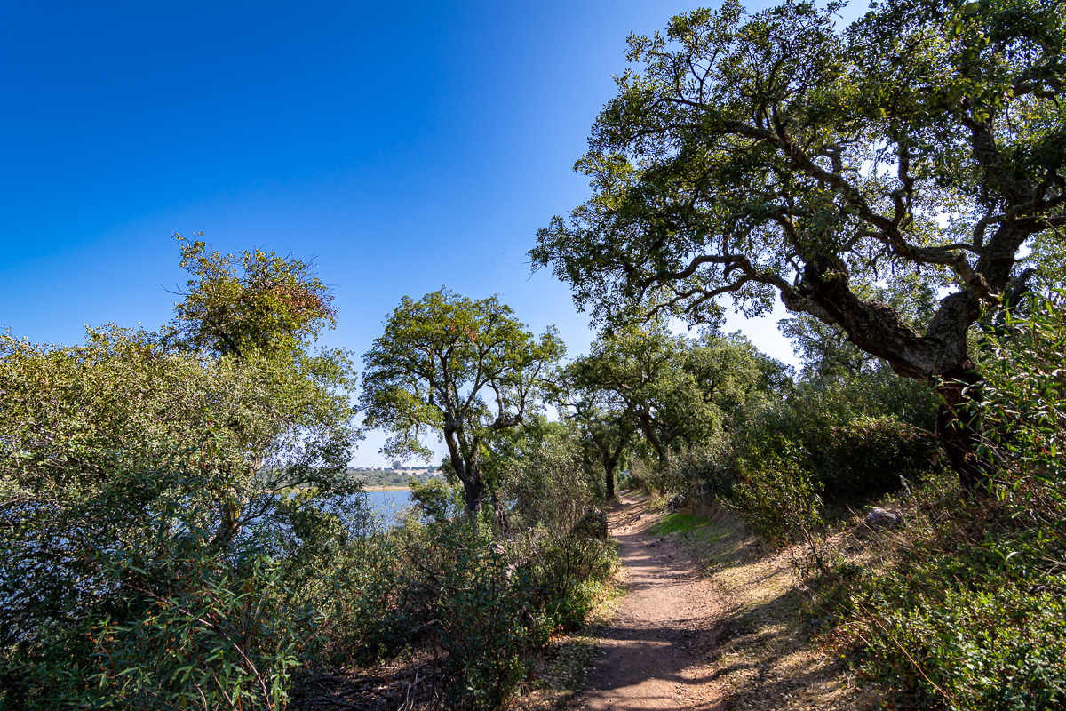 naturaleza-estrellas-comarca-lacara