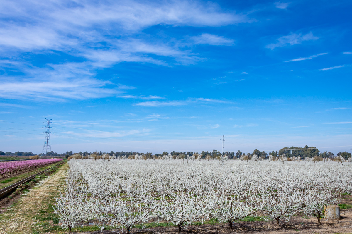 naturaleza-estrellas-comarca-lacara